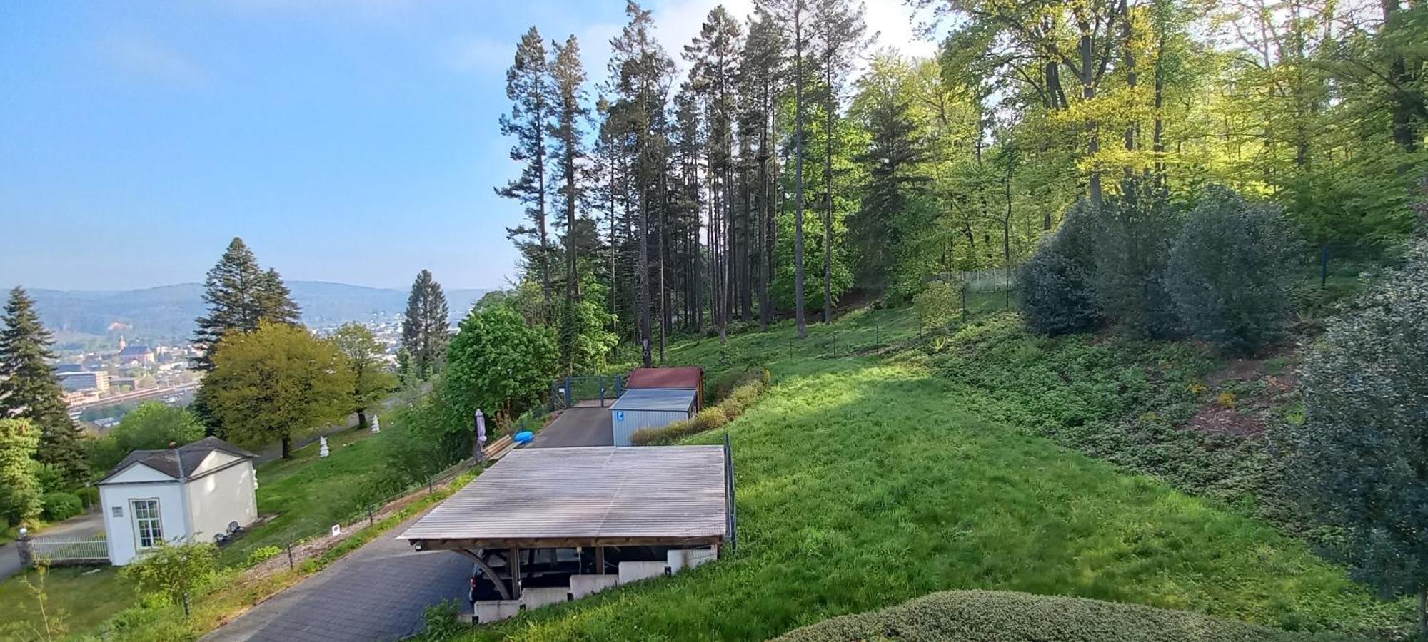Ferienwohnungen Petrisberg Trier Rum bild